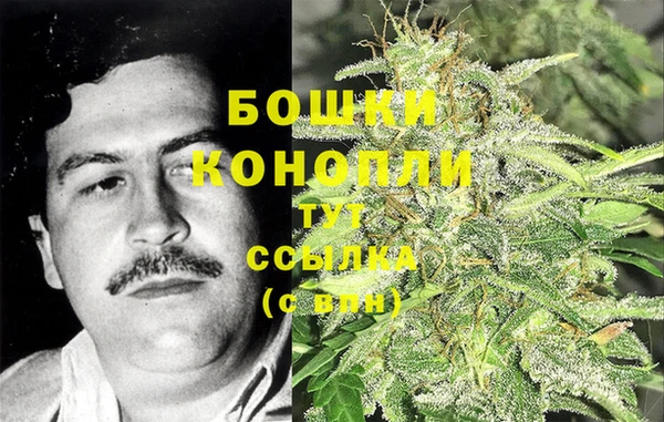 шишки Аркадак