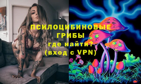 a pvp Арсеньев