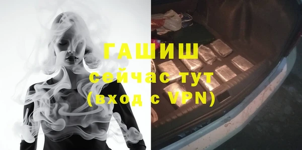 шишки Аркадак