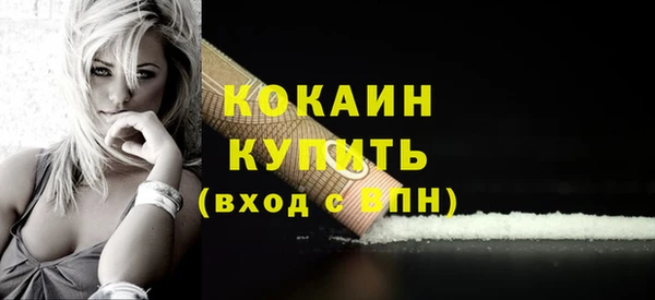 шишки Аркадак