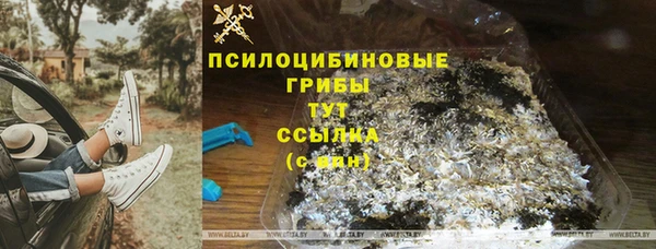 a pvp Арсеньев