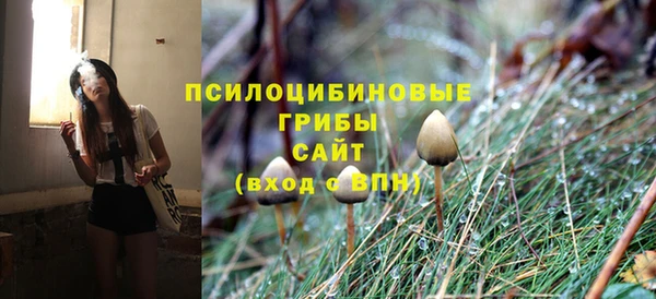 a pvp Арсеньев