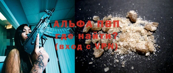 шишки Аркадак