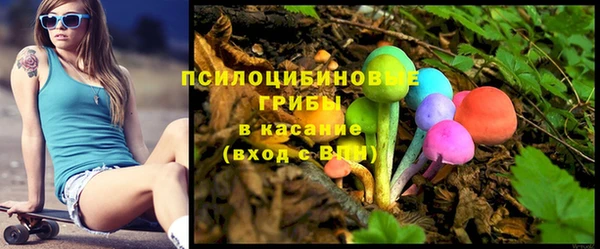 шишки Аркадак