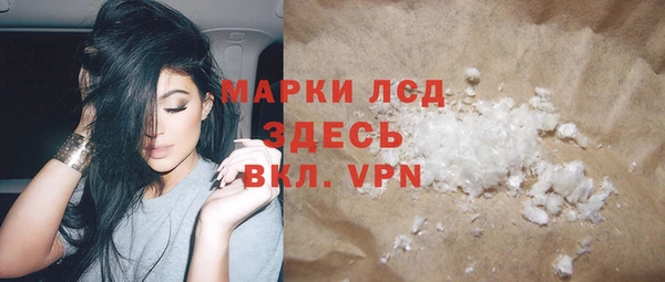 шишки Аркадак