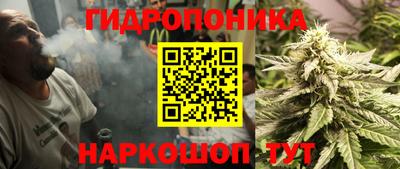 кокс Шелехов